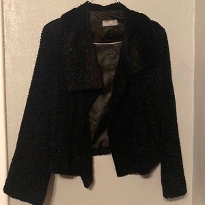 Wallis size large crop jacket black